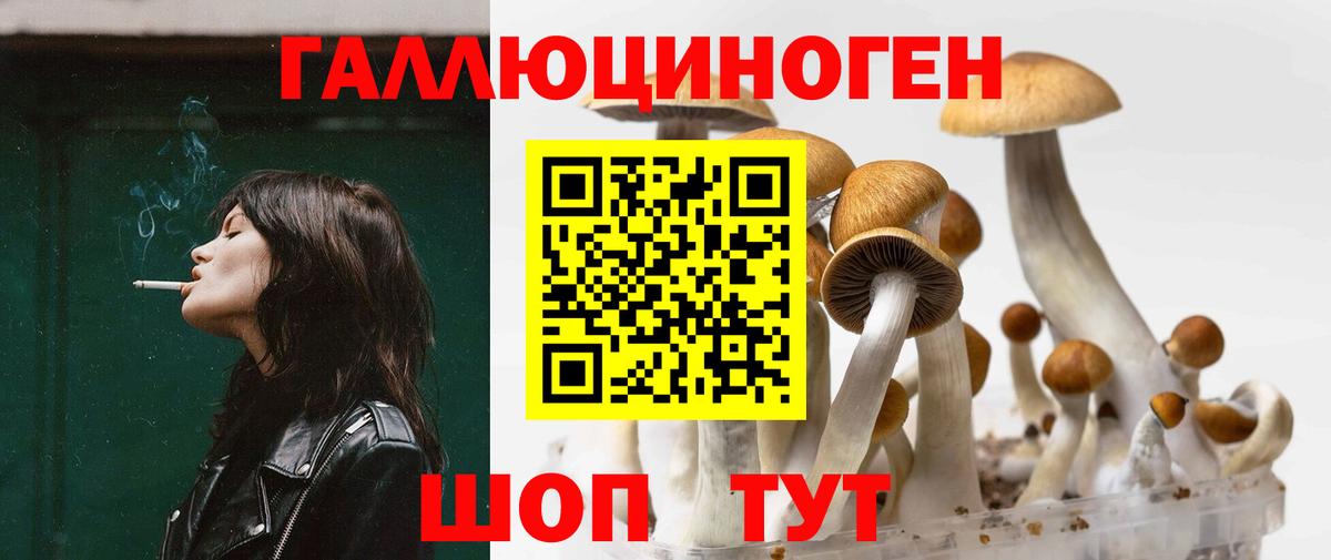 Псилоцибиновые грибы прущие грибы Ирбит