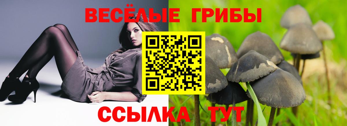 Галлюциногенные грибы MAGIC MUSHROOMS  Вход с VPN  Ирбит 